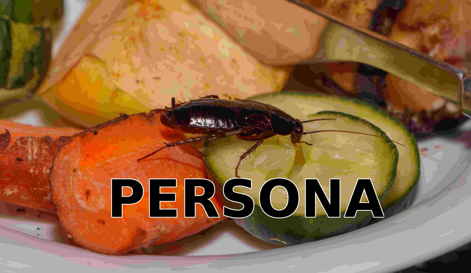 Una cucaracha es una persona